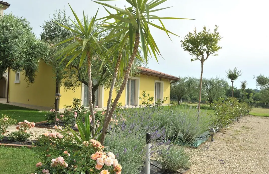 Paradiso degli Ulivi B&B-1